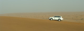 In the Desert Alone