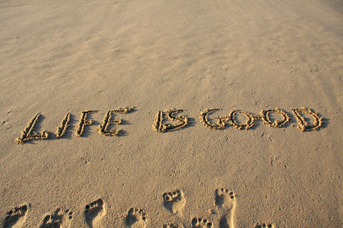 life is good