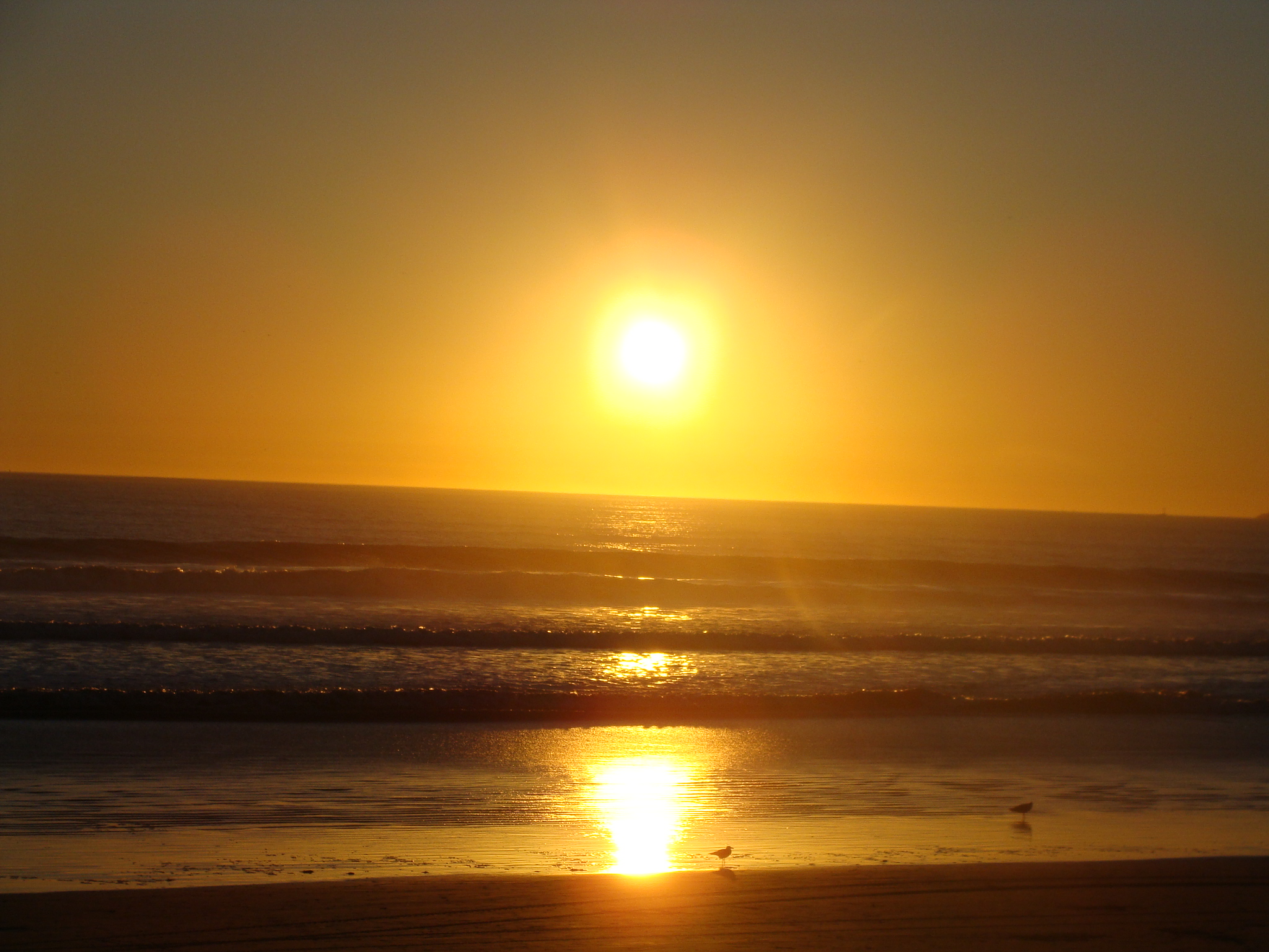 Nelson Mandela Quotes